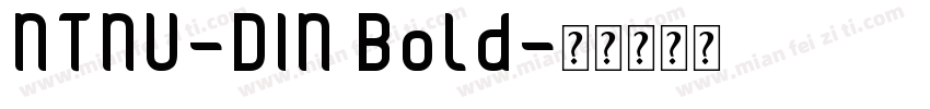 NTNU-DIN Bold字体转换